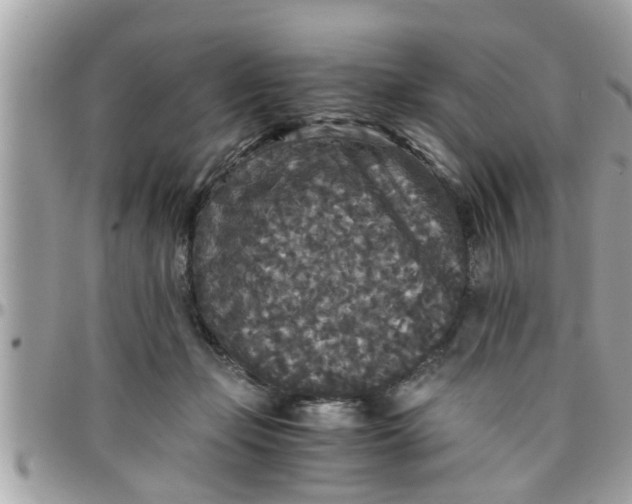 X0000097760365200803211719