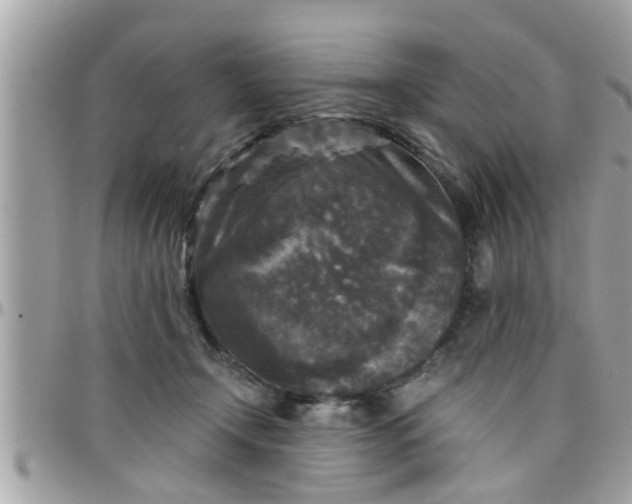 X0000097760366200803211719