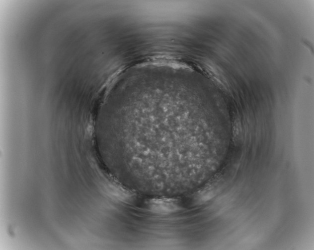 X0000097760367200803211719