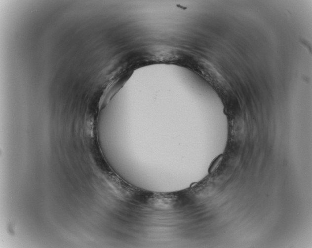 X0000097760368200803211719