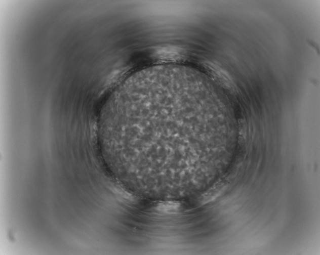 X0000097760369200803211719