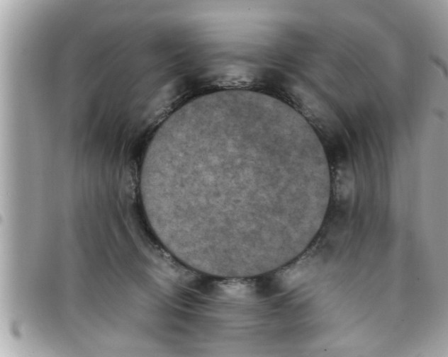 X0000097760370200803211719