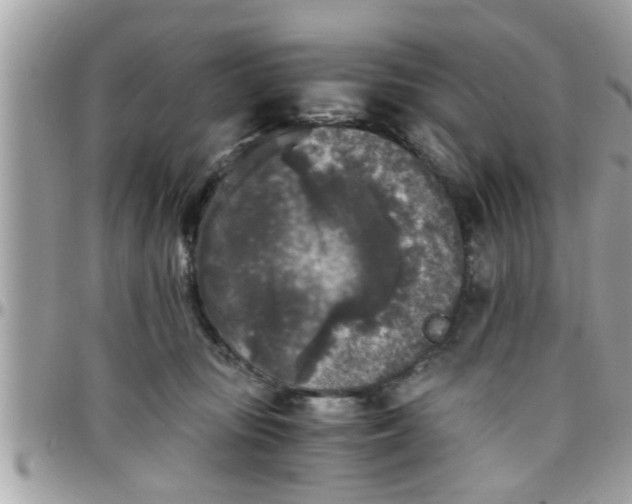 X0000097760371200803211719