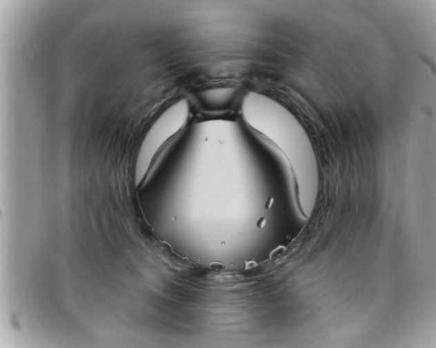 X0000097760372200803211719