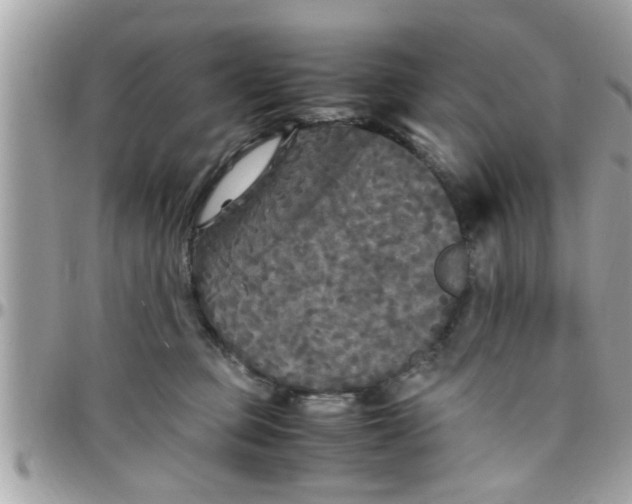 X0000097760373200803211719