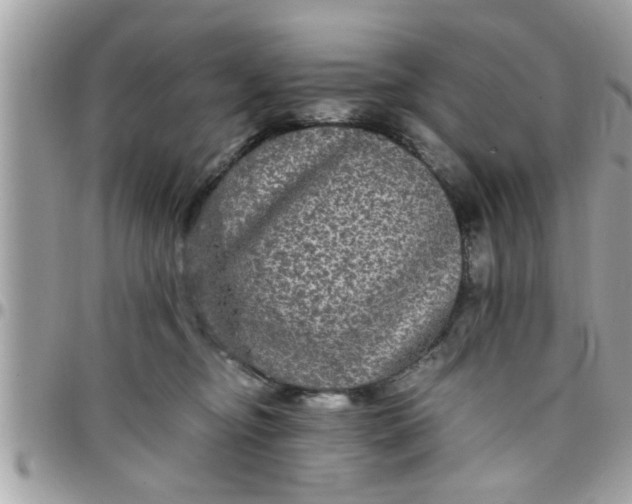 X0000097760374200803211719