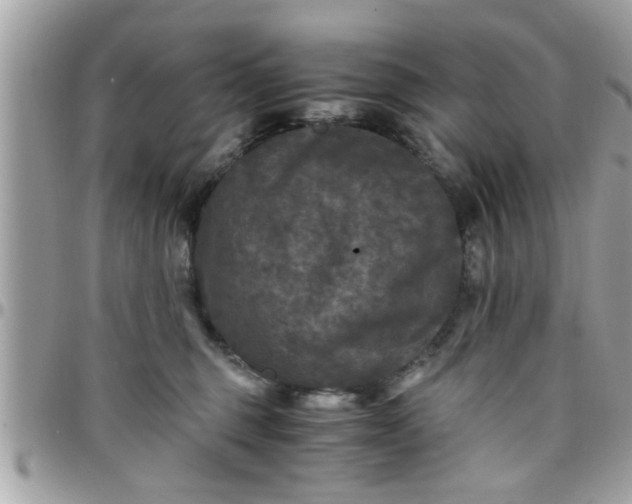 X0000097760375200803211719