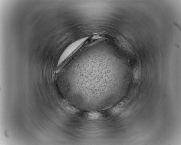 X0000097760376200803211719