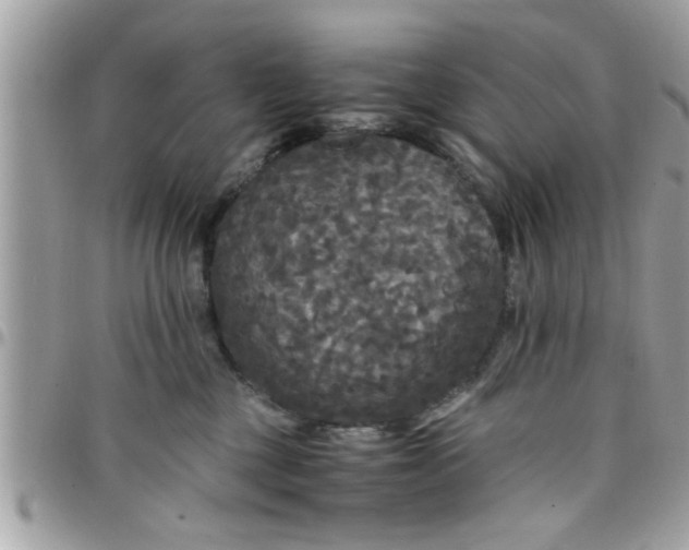 X0000097760377200803211719