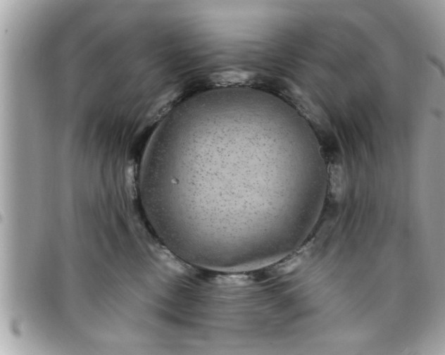 X0000097760378200803211719