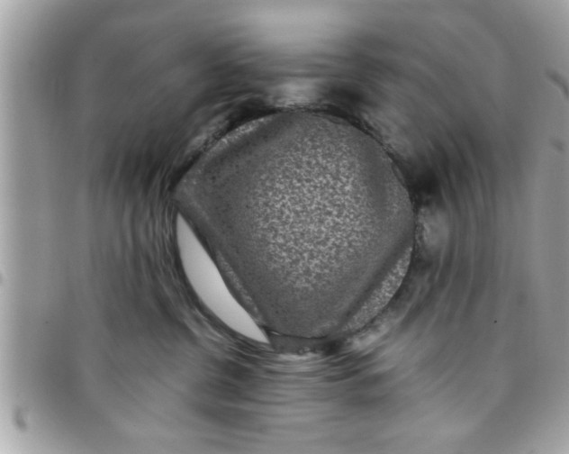 X0000097760380200803211719