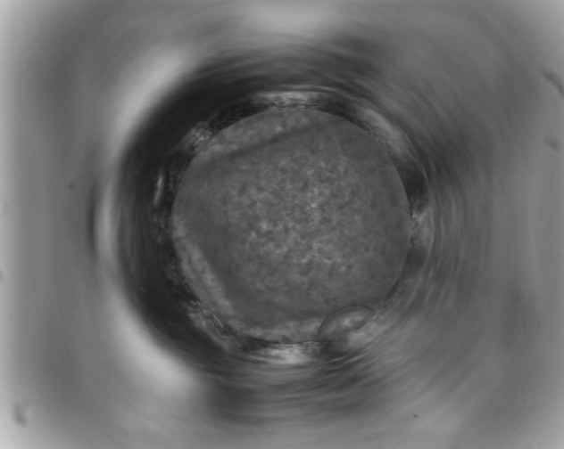 X0000097760381200803211719