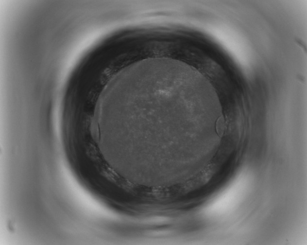 X0000097760383200803211719