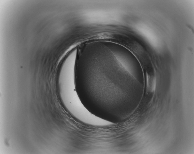 X0000097760387200803211719