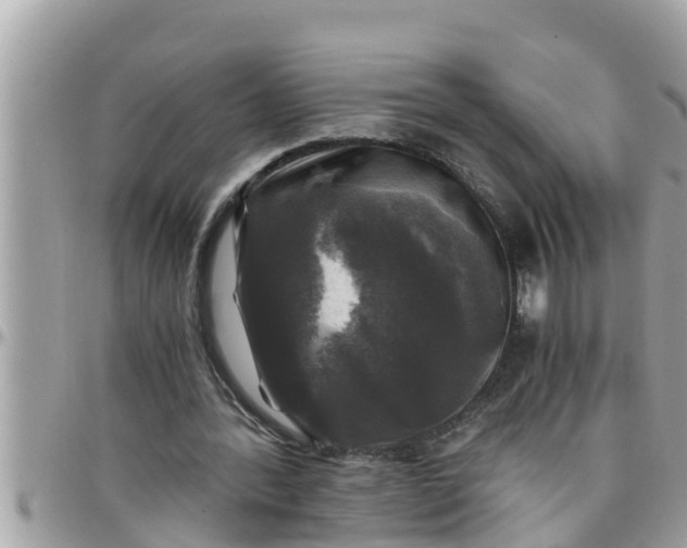 X0000097760388200803211719