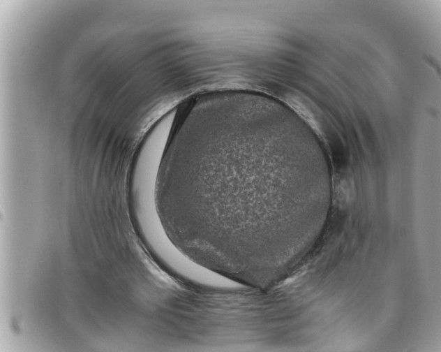 X0000097760389200803211719