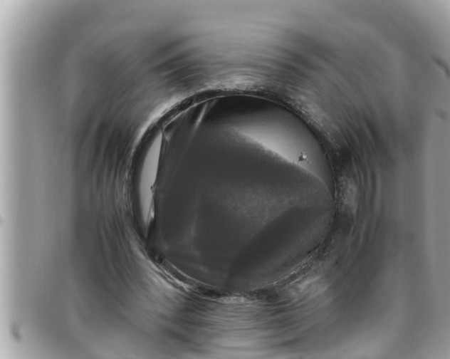 X0000097760392200803211719