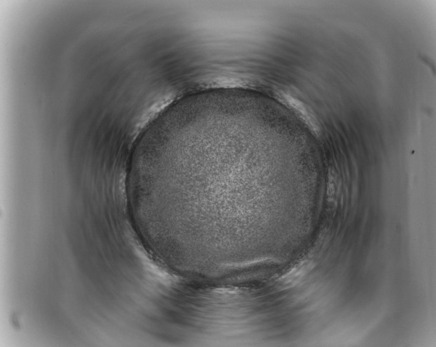 X0000097760394200803211719