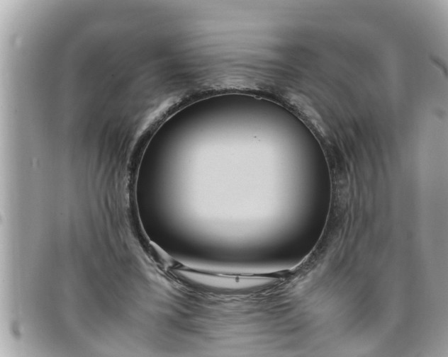 X0000097760395200803211719