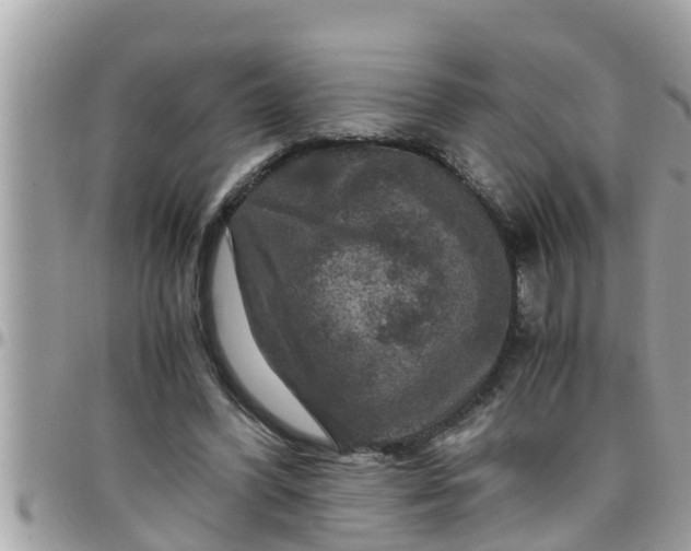 X0000097760396200803211719