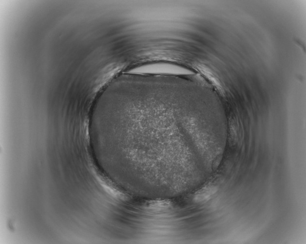 X0000097760398200803211719