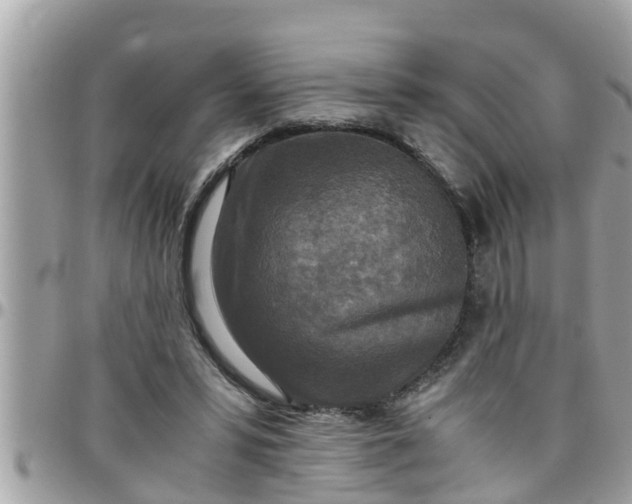 X0000097760399200803211719