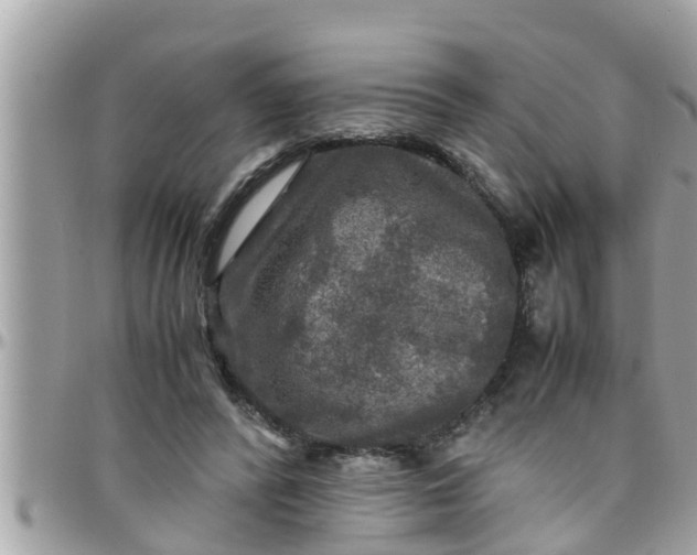 X0000097760400200803211719