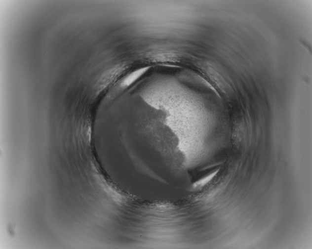 X0000097760402200803211719