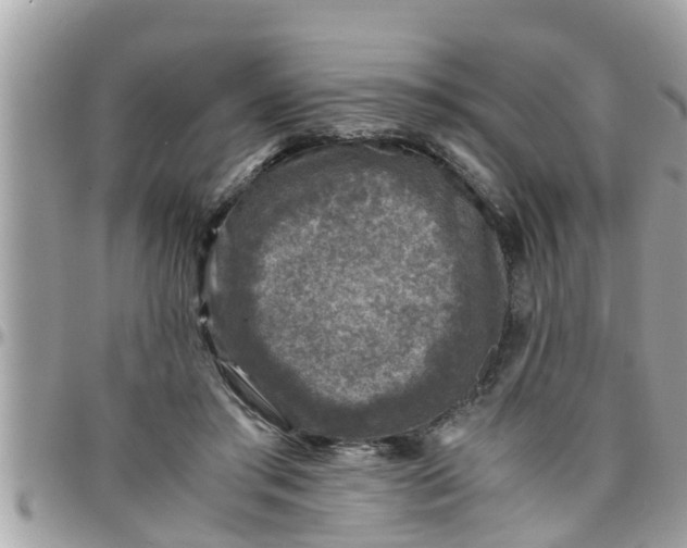 X0000097760405200803211719