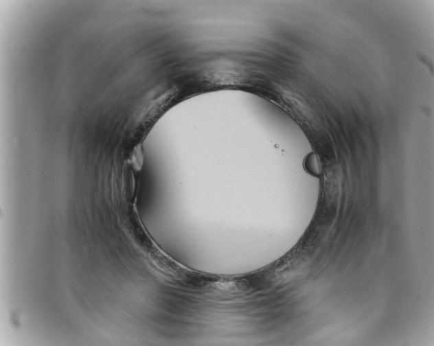 X0000097760406200803211719