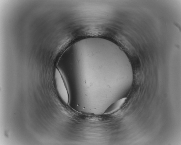 X0000097760407200803211718