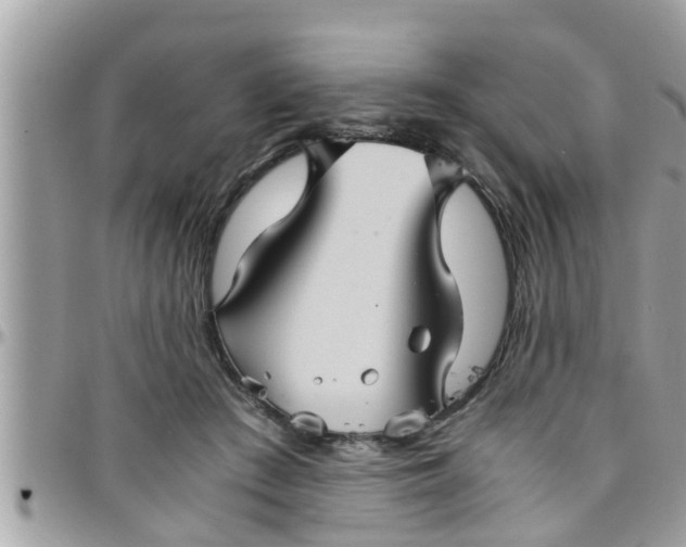 X0000097760409200803211718