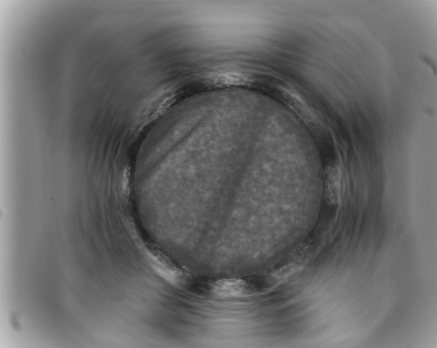 X0000097760410200803211718