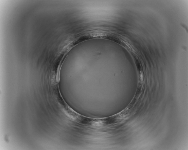 X0000097760411200803211718