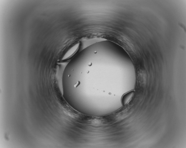 X0000097760412200803211718