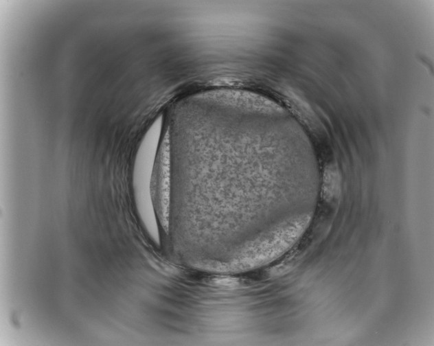 X0000097760413200803211718