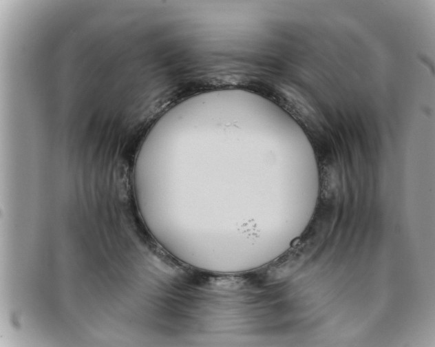 X0000097760414200803211718