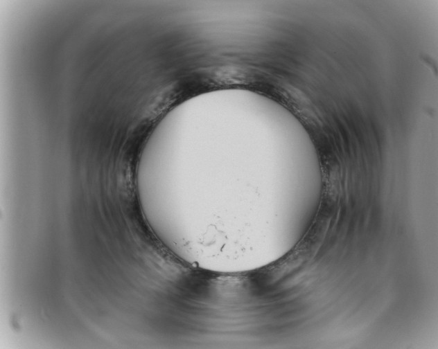 X0000097760418200803211718