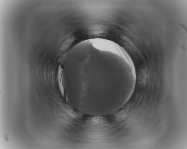 X0000097760420200803211718