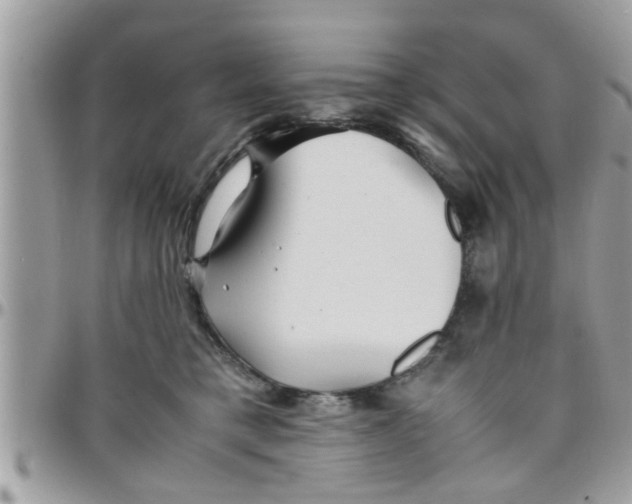 X0000097760421200803211718