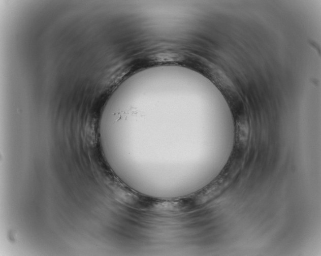 X0000097760422200803211718