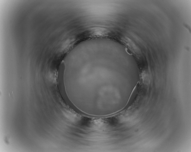 X0000097760423200803211718