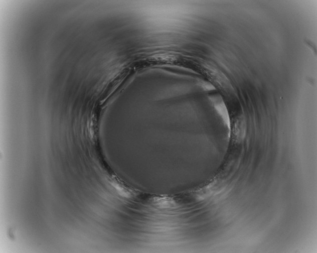 X0000097760424200803211718