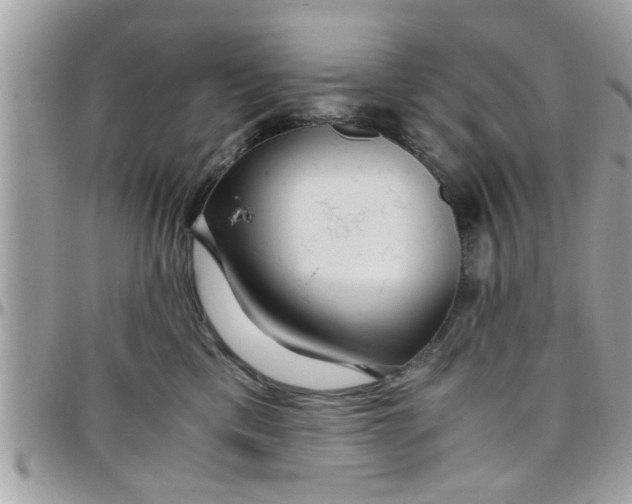 X0000097760425200803211718