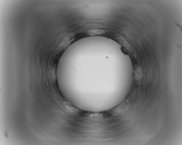 X0000097760426200803211718