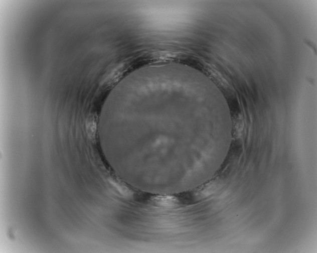 X0000097760427200803211718