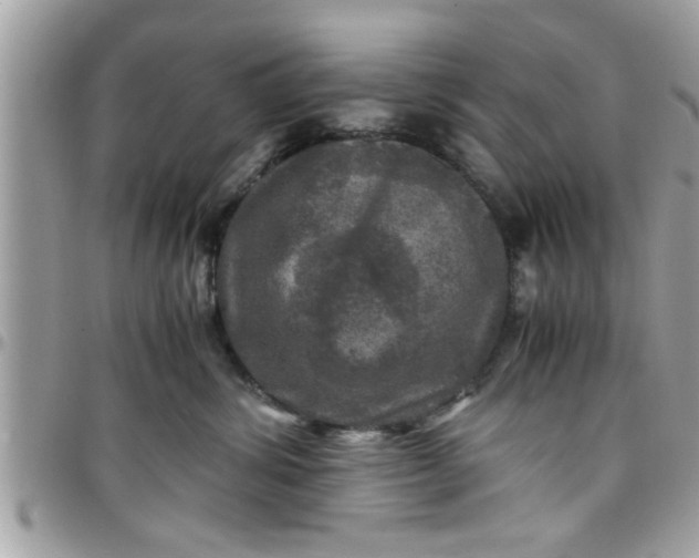 X0000097760428200803211718