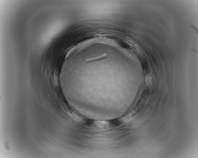 X0000097760429200803211718