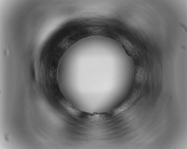 X0000097760430200803211718