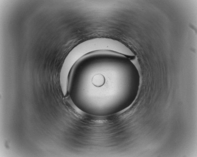 X0000097760432200803211718